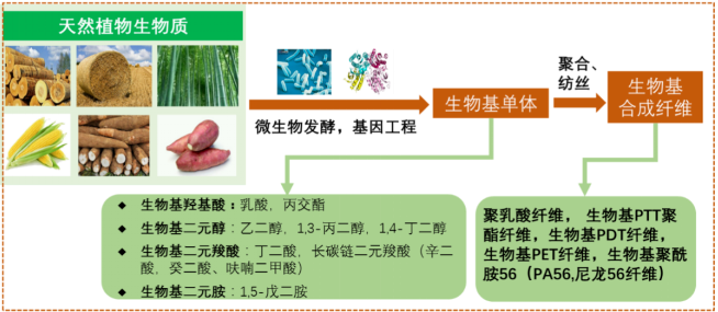 乐鱼leyu科技
